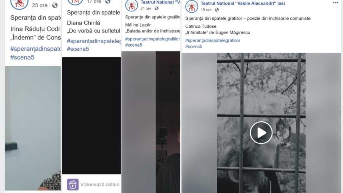 protest-elie-wiesel-teatru_61352100