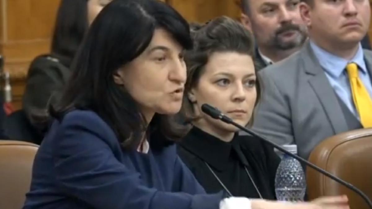 violeta_alexandru_micr_audieri_cpv_41472500