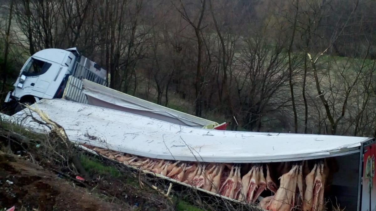 whatsapp-image-2020-04-16-at-09-29-57_08065400