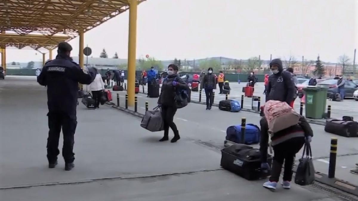 aeroport-cluj-romani-munca-cpv_80203600