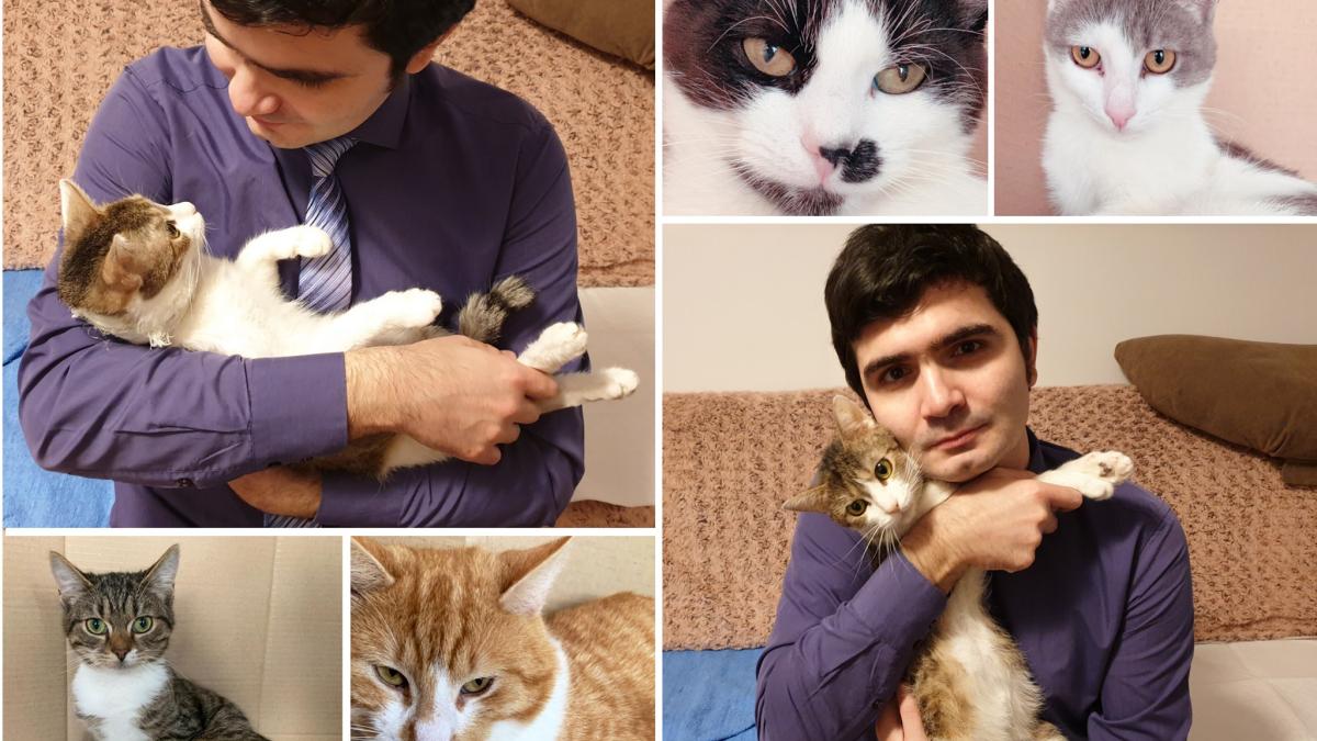 bogdan_anicescu_pisica_facebook_39247100