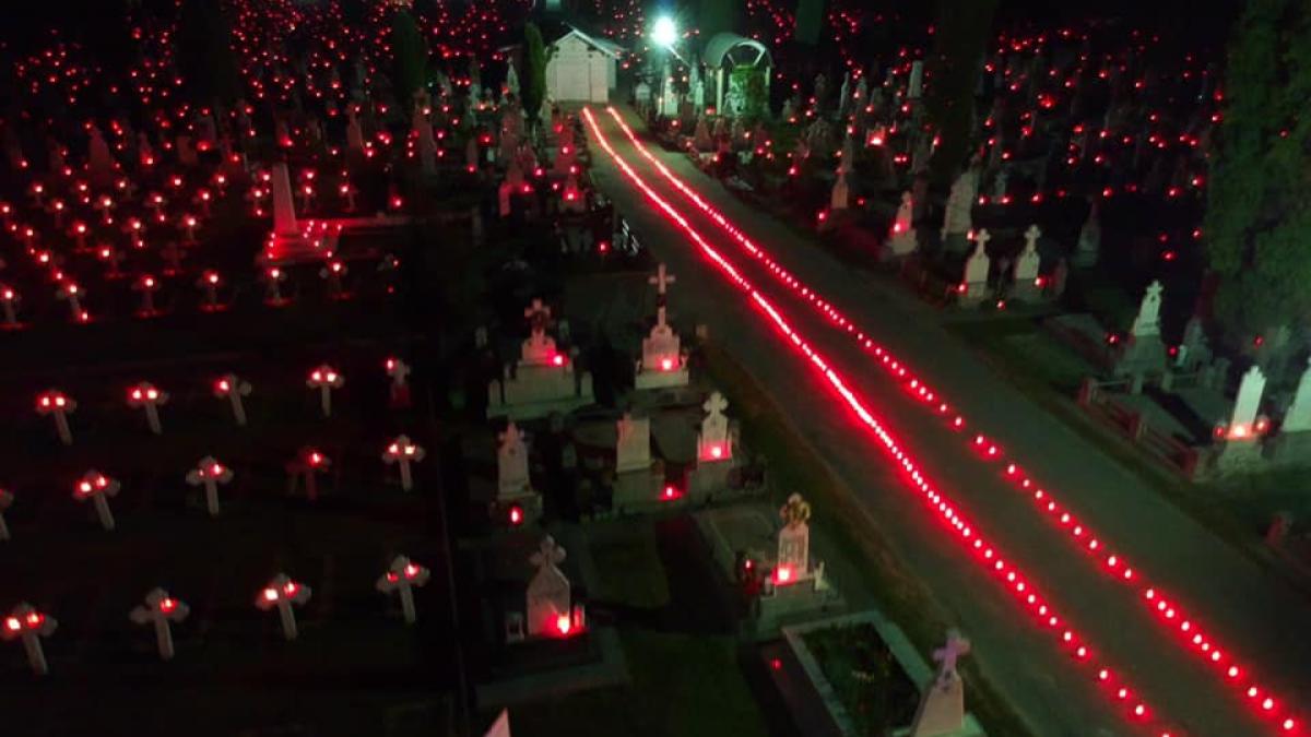 mircia-gutau_88896200