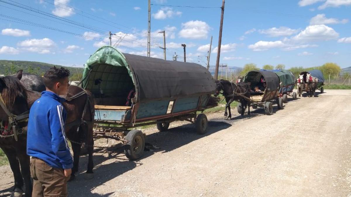 convoi-oprit-de-jandarmi_84240200