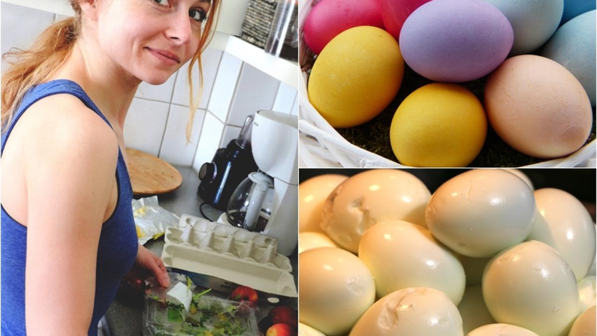 oua-paste-ramase_05874300