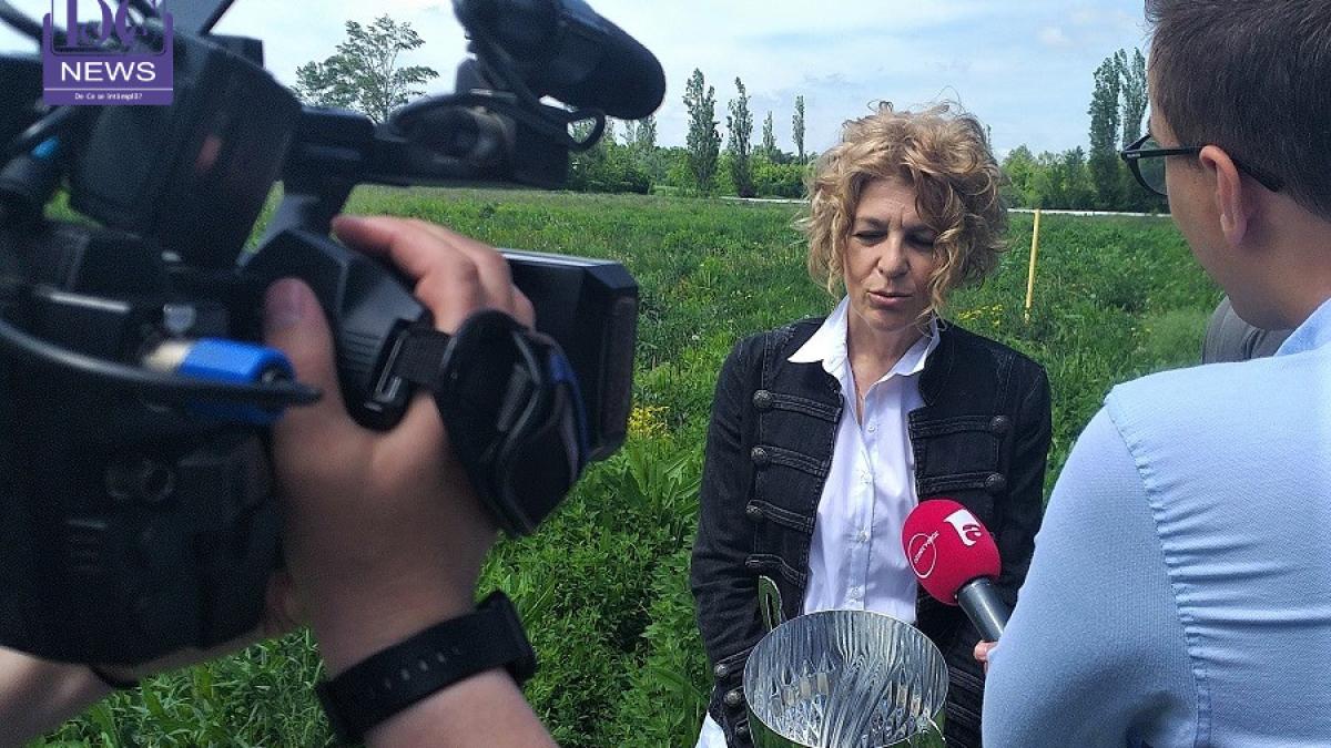 carmen_avram_baza_dcn_65120500