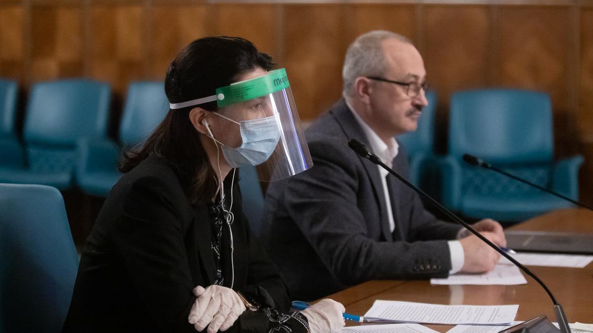 violeta-alexandru-guvern---vizeta_87969100