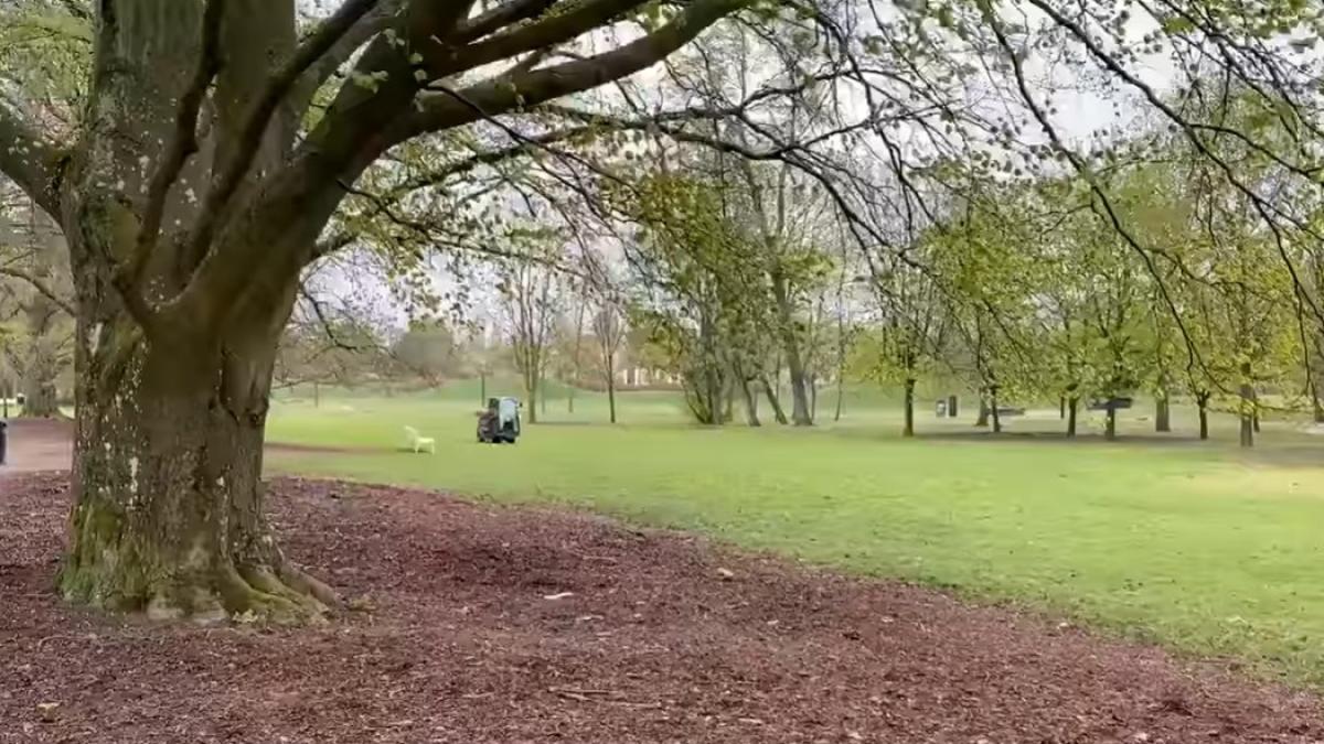 suedia_lund_76677600