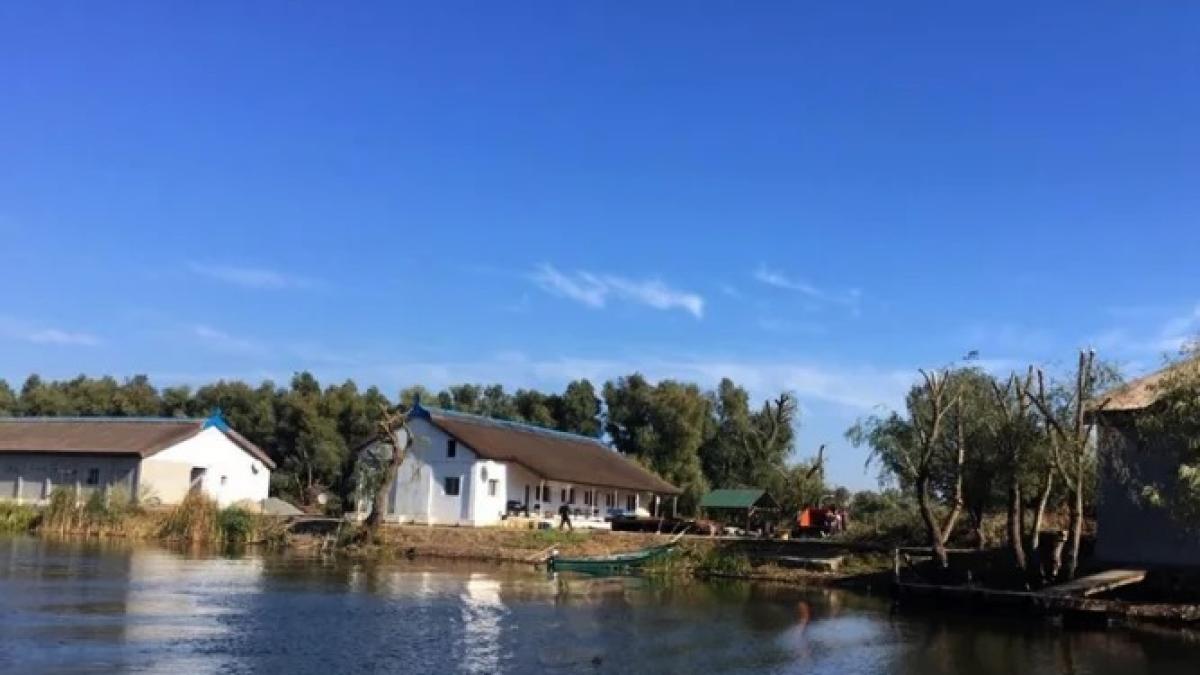 delta-dunarii-insula_88131400