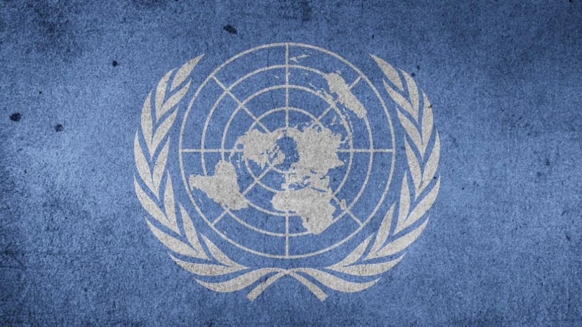 organizatia_natiunilor_unite_18084100