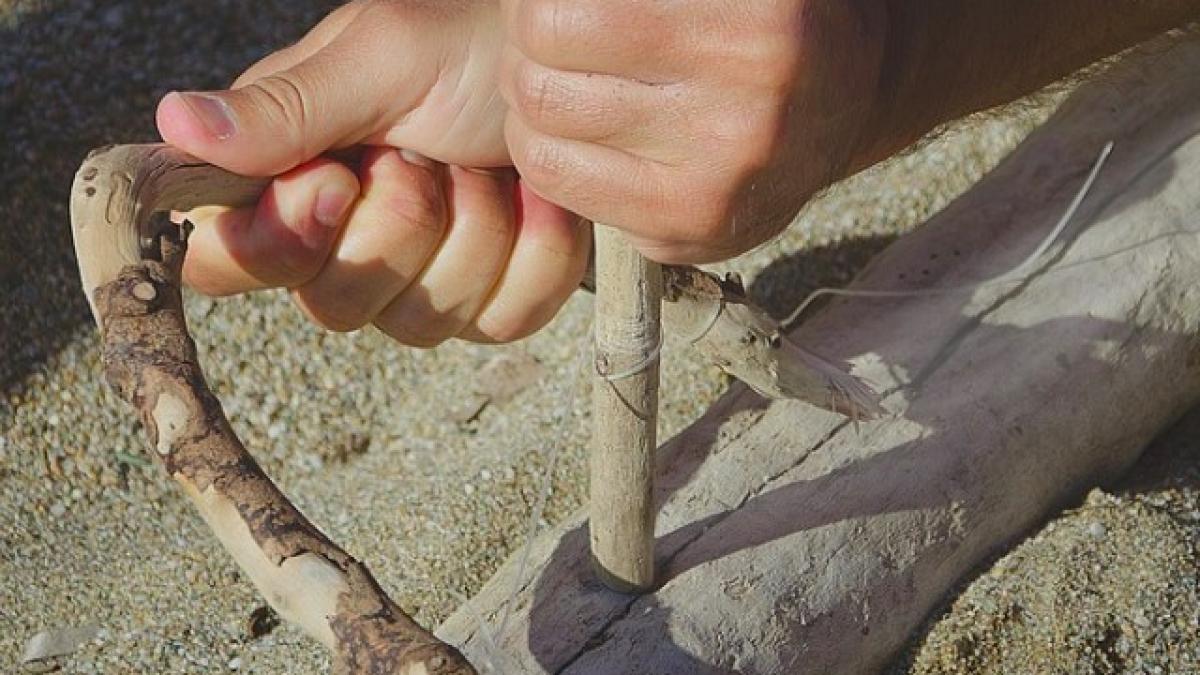 ramasite_umane_stiinta_36718100