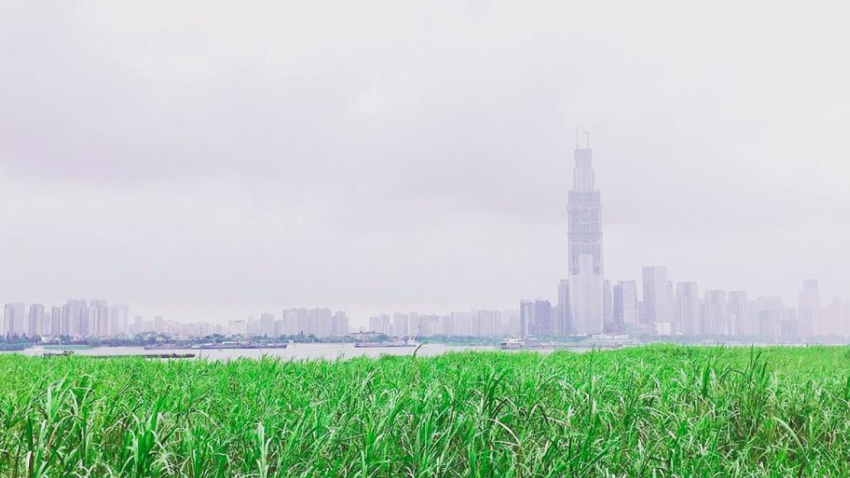 wuhan_china_hubei_15361400