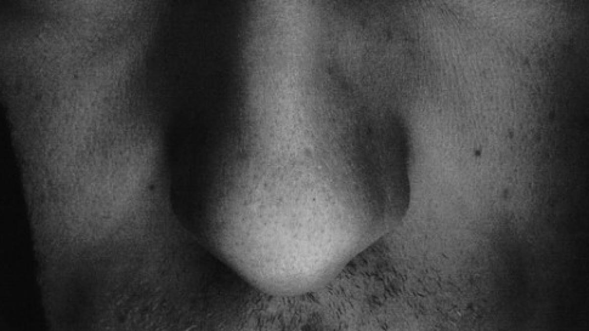 nas_anatomie_47263200