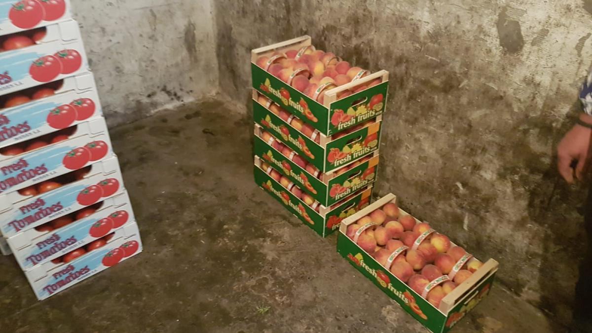 97281299_3288082477878109_5177647405348159488_o_43122000