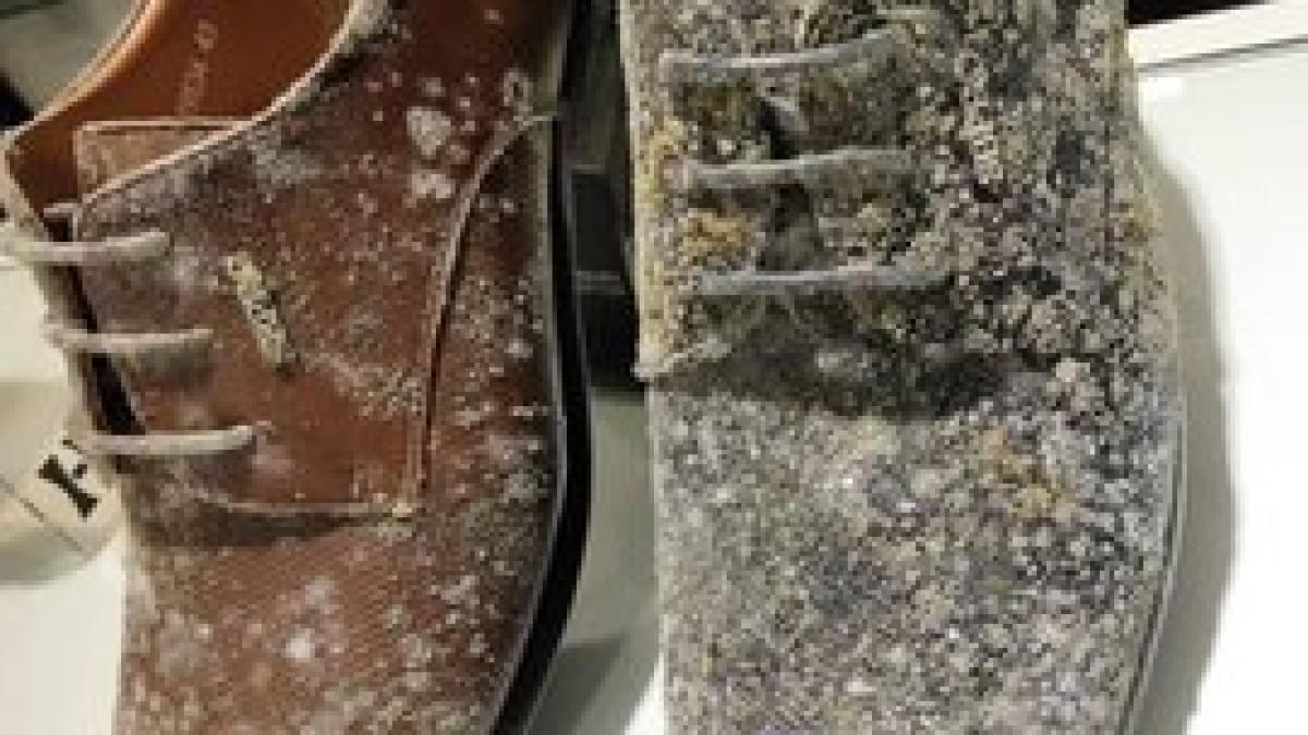 pantofi_mucegai_mall_25959000