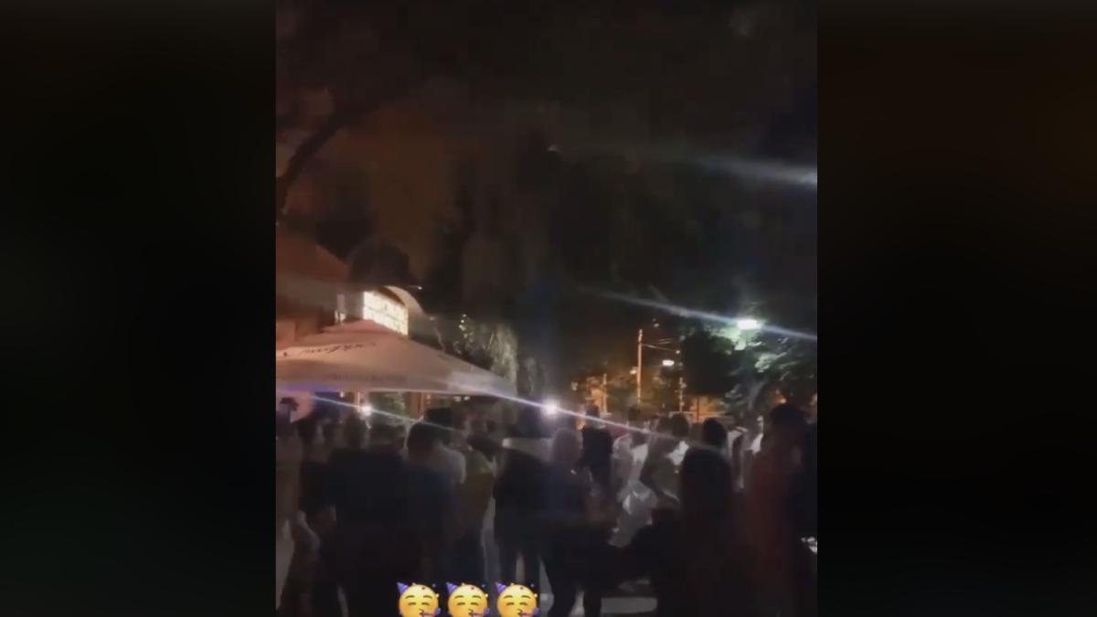 herastrau-petrecere_24630400