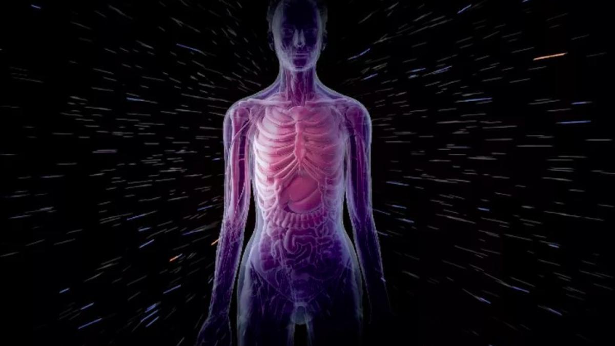 simulator_raze_cosmice_nasa_61495700