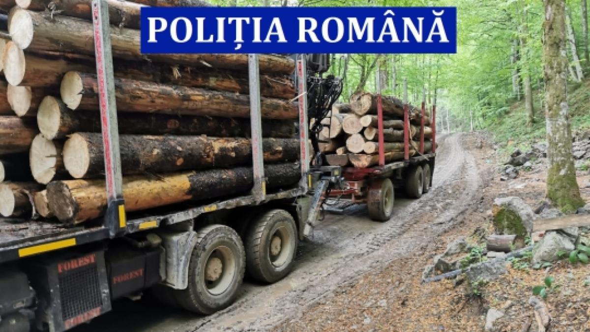 big_img-20200518-wa0004_94654100