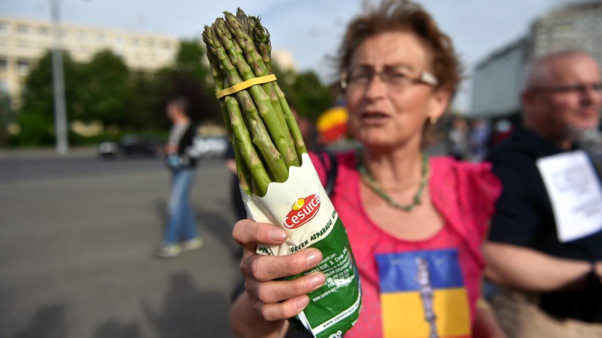 sparanghel-piata-victoriei-protest_48829500