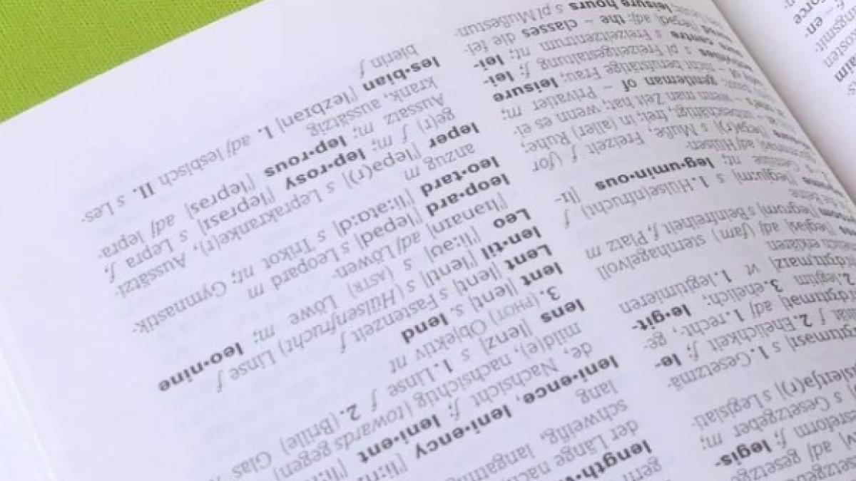 dictionar_lingvistica_07058100