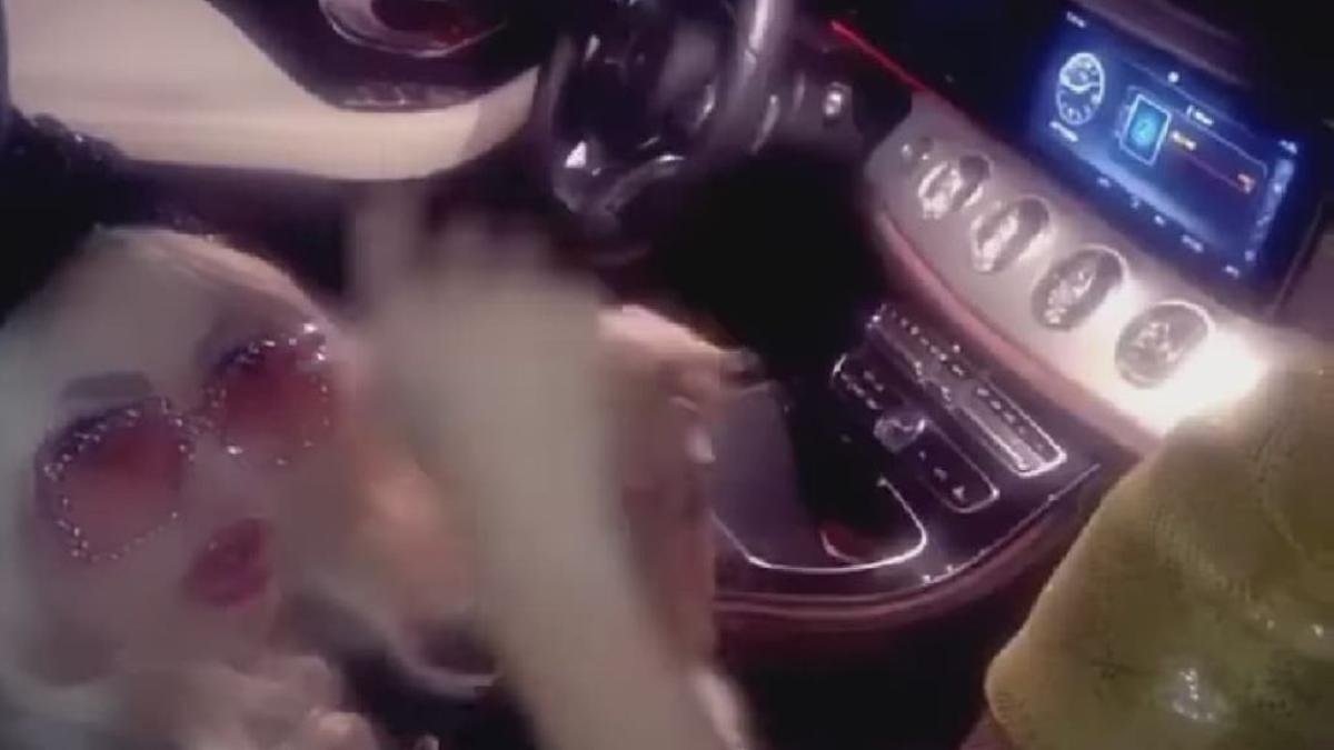 100710925_616636379197157_5908650791882719232_n_82688300