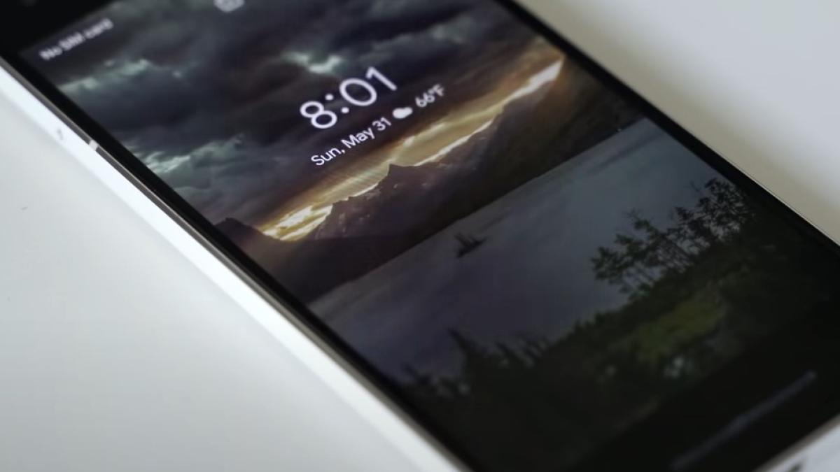 imagine_fundal_bug_80813800