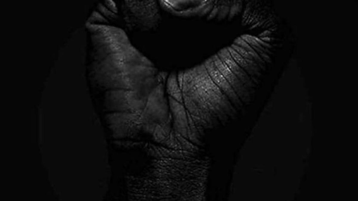 blackout_tusday_instagram_3_48861500