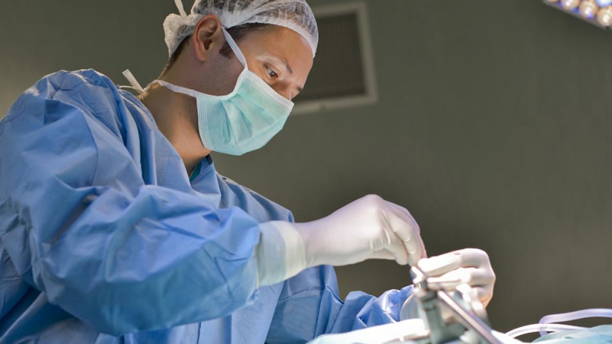 dr-stefan-mindea-10_08394300