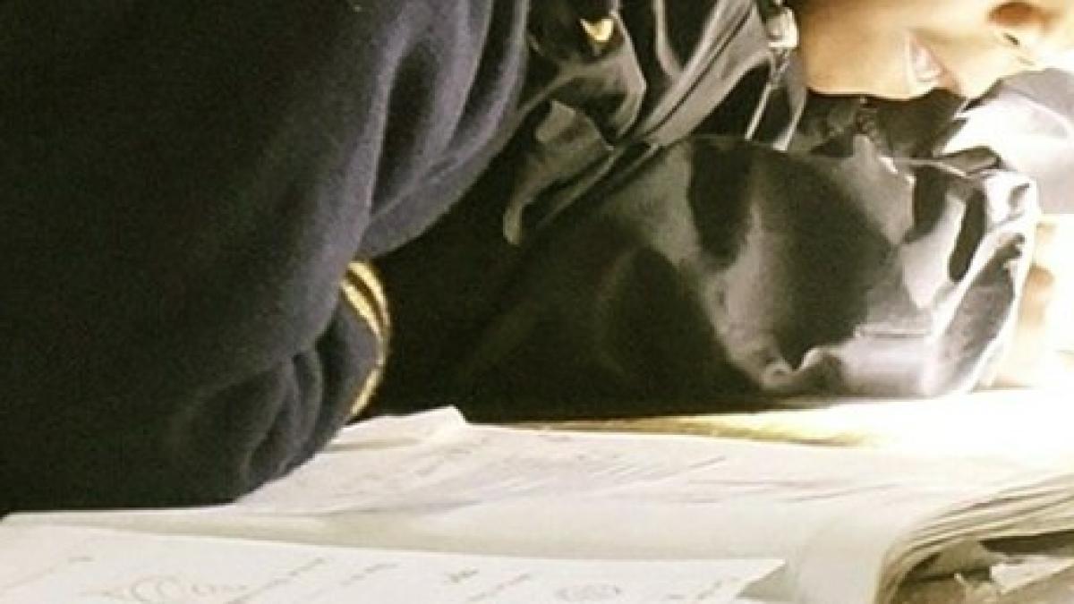 google_proces_elevi_1_26602900