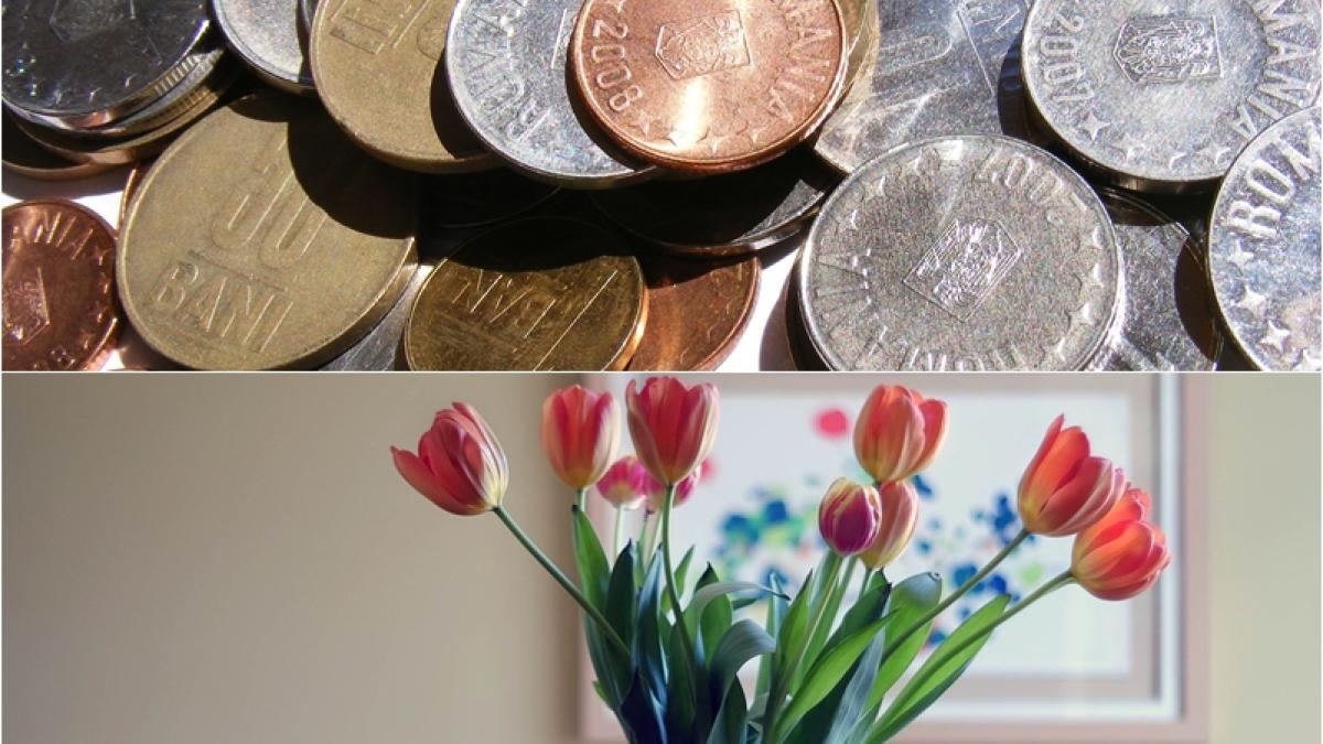 vaza-moneda_20418600