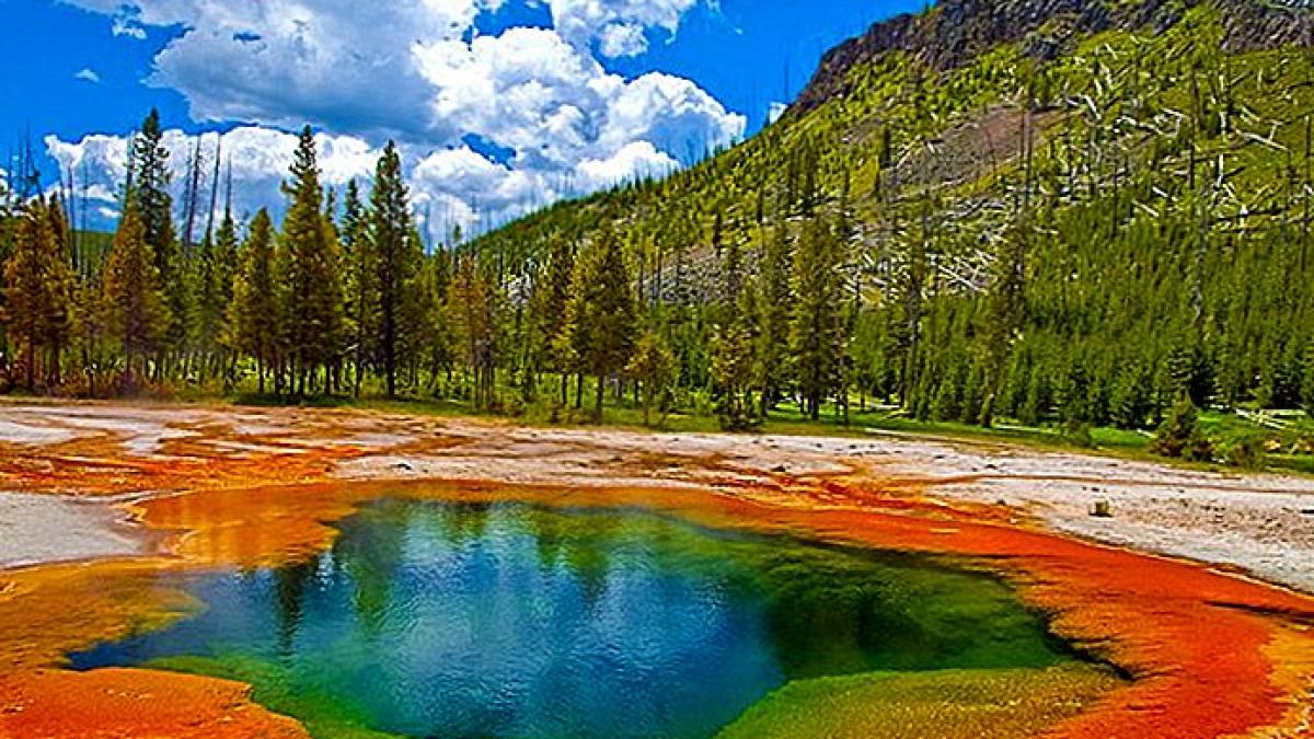 parcul-yellowstone_05254100