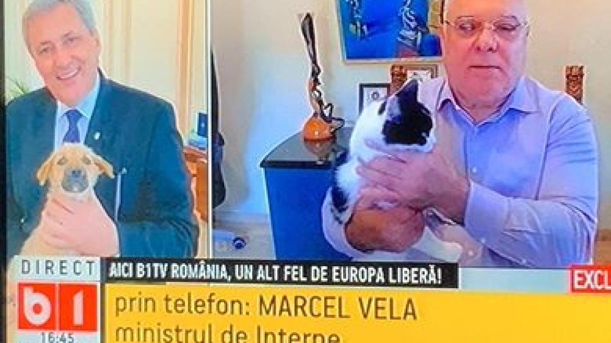 vela_marinescu_51548600