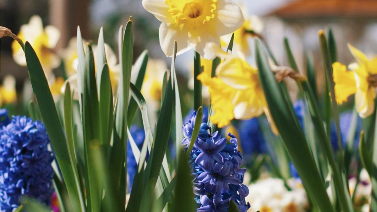 87861077_1471002279745164_6181321562377945088_o_33089900