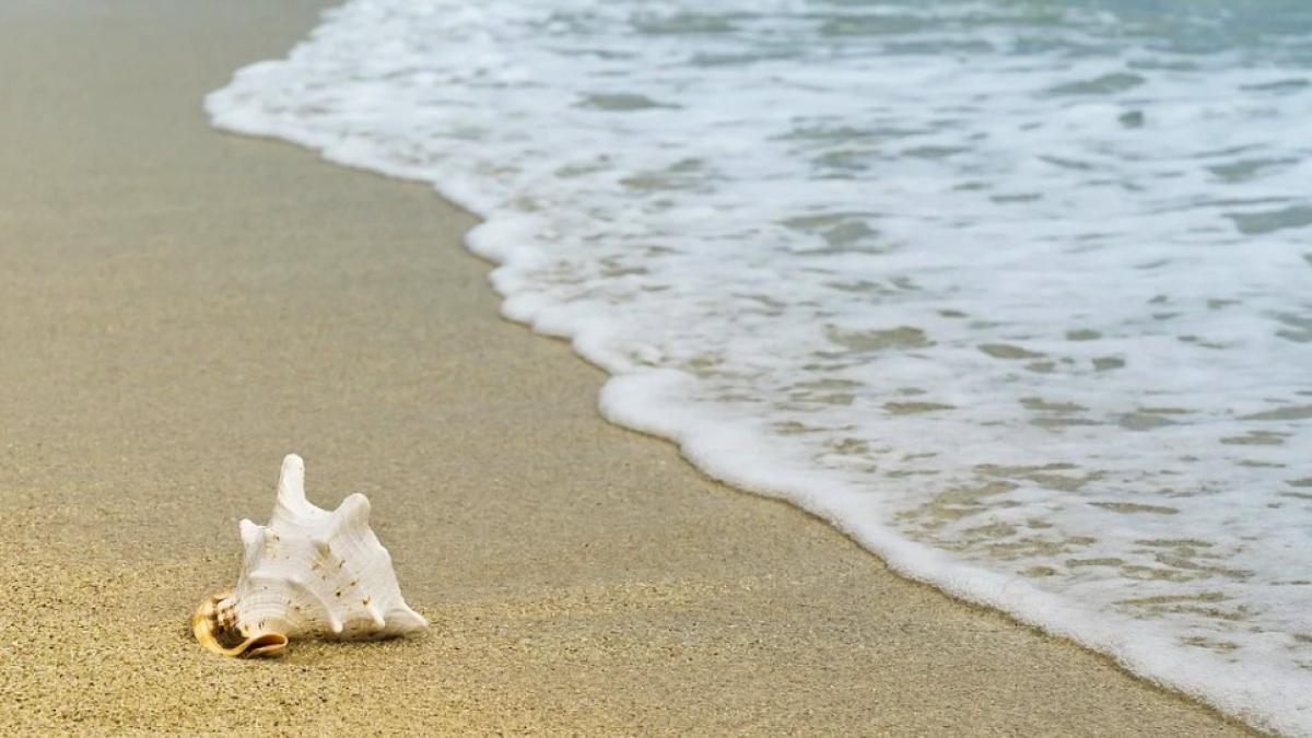 plaja_mare_litoral_96625300