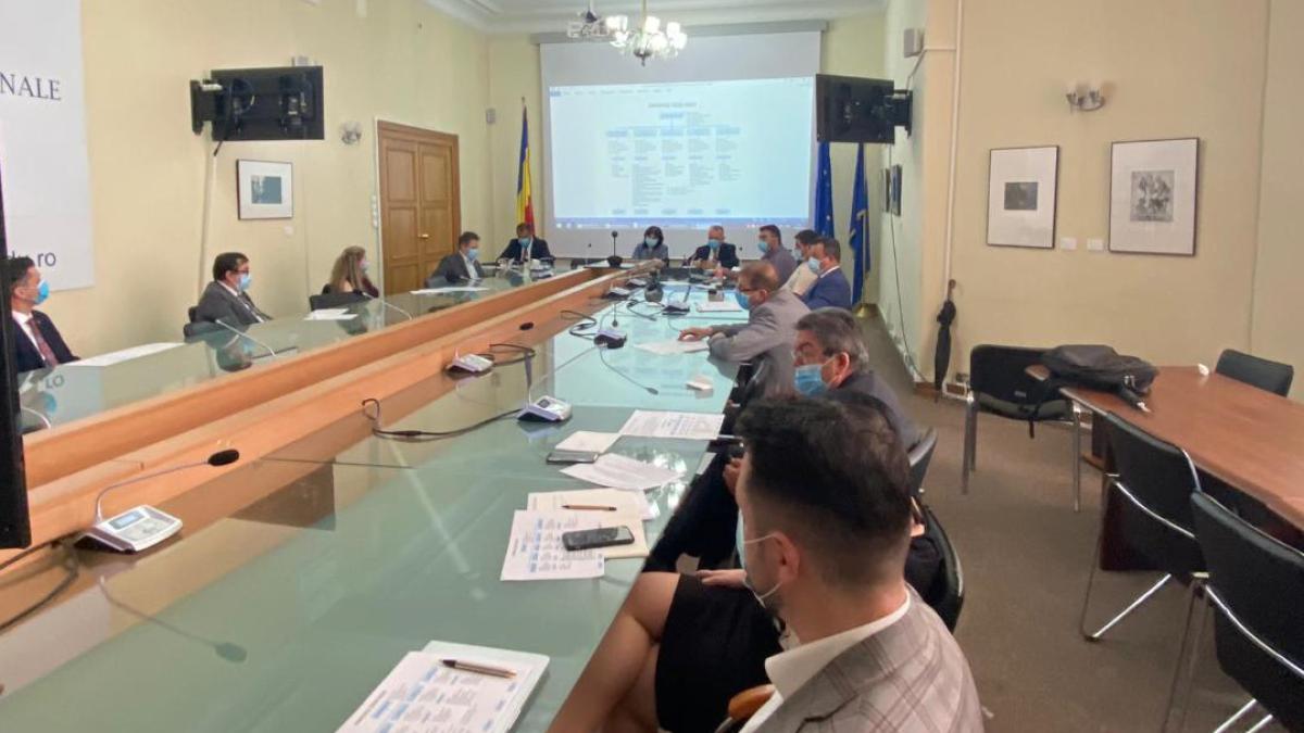 sedinta-cnr-anisie_09943100