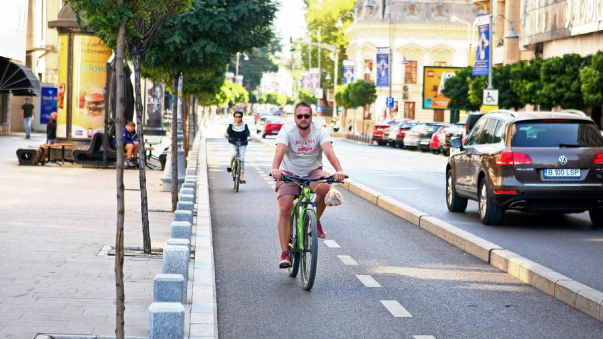 pavo8976_resize_10829100