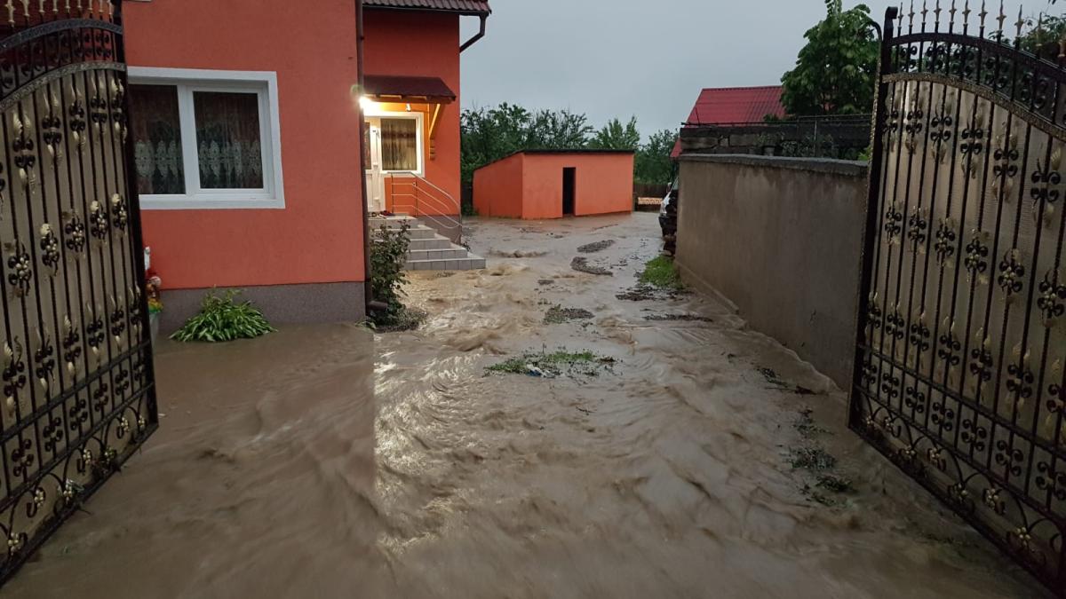 ebaaac92-8200-46f5-b111-a1cd645084b5_49719700