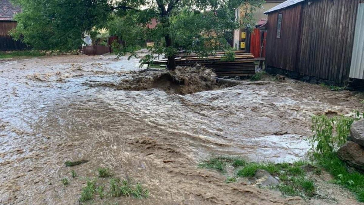 5dd76a8c-3f73-4428-8a2e-38fbfebd09fd_46857600