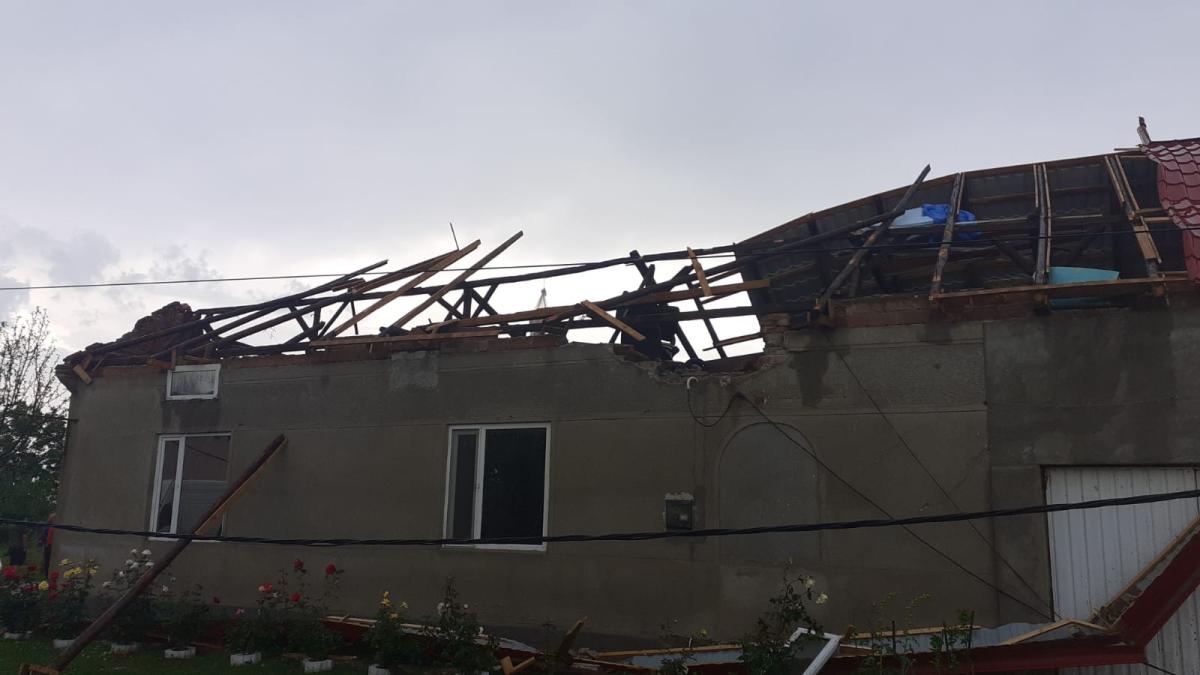 foto_isu_timis_40707000