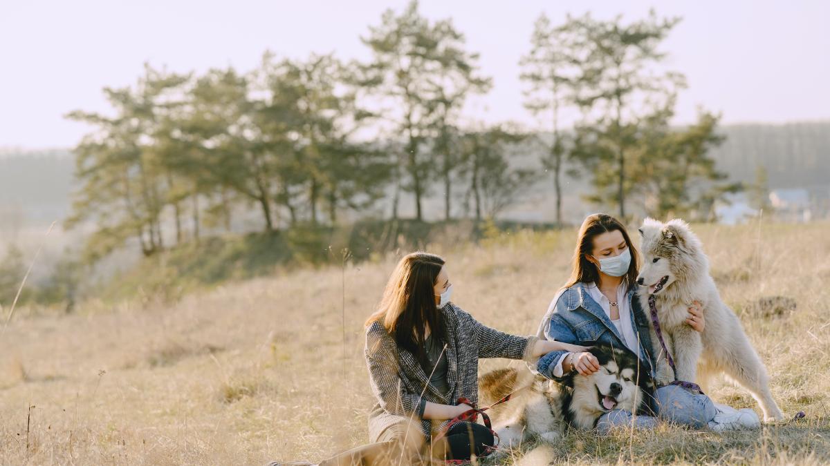 coronavirus-natura_98907600