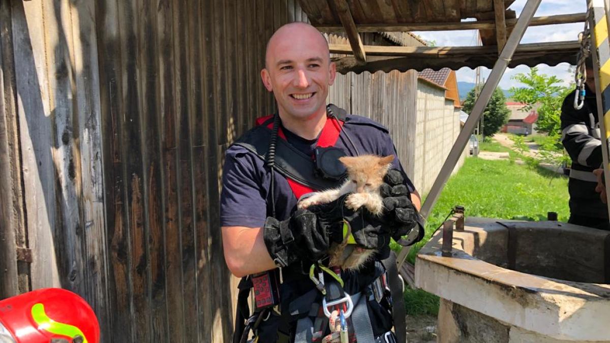 28971a44-c99d-47ae-a734-ebb4bd98bb44_83958900