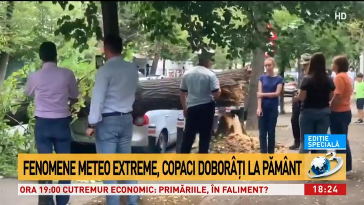 copac_romania_bucuresti_45623200