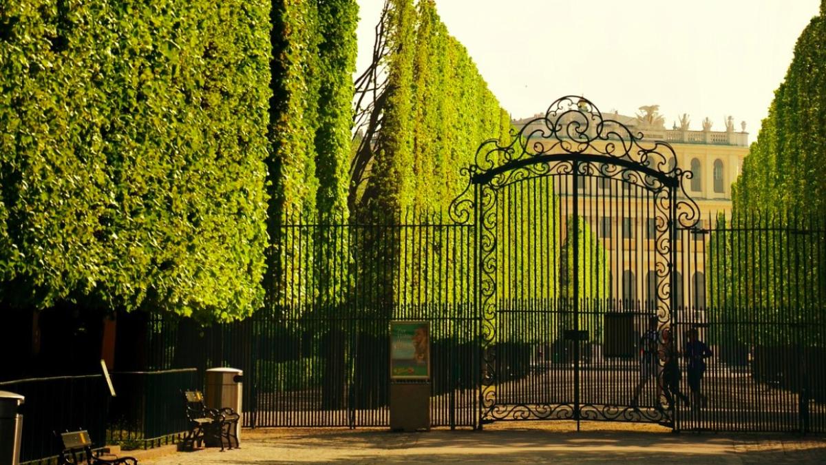 viena_austria_parc_51695700