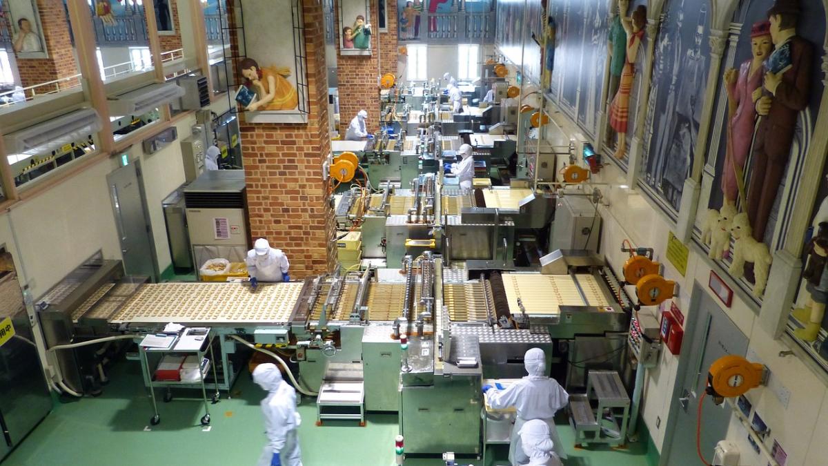 fabrica-de-ciocolata_73693000