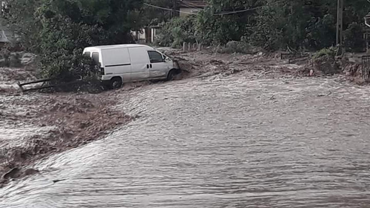 49dc9b1a-de7a-483b-bd2d-5526aa44a460_48611100