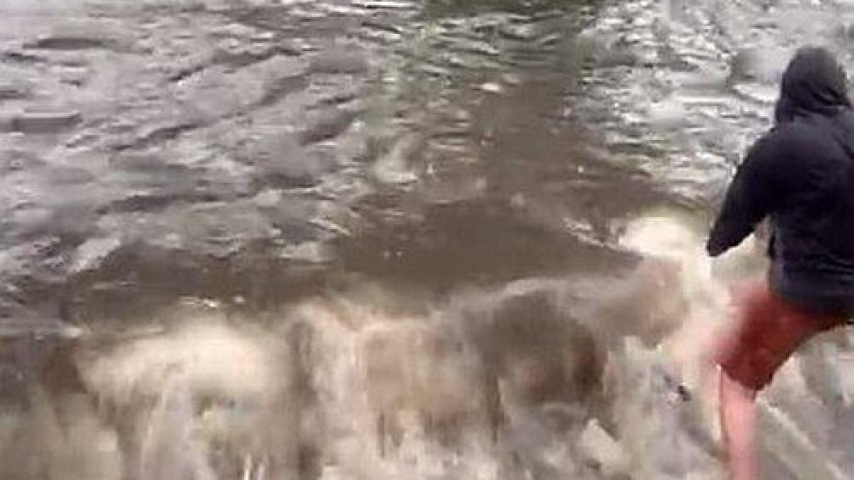 inundatii-buc_48195200