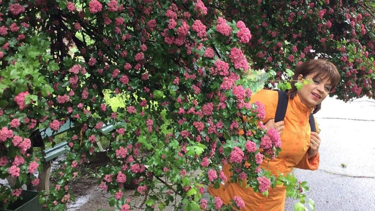 adriana-trandafir_18592000