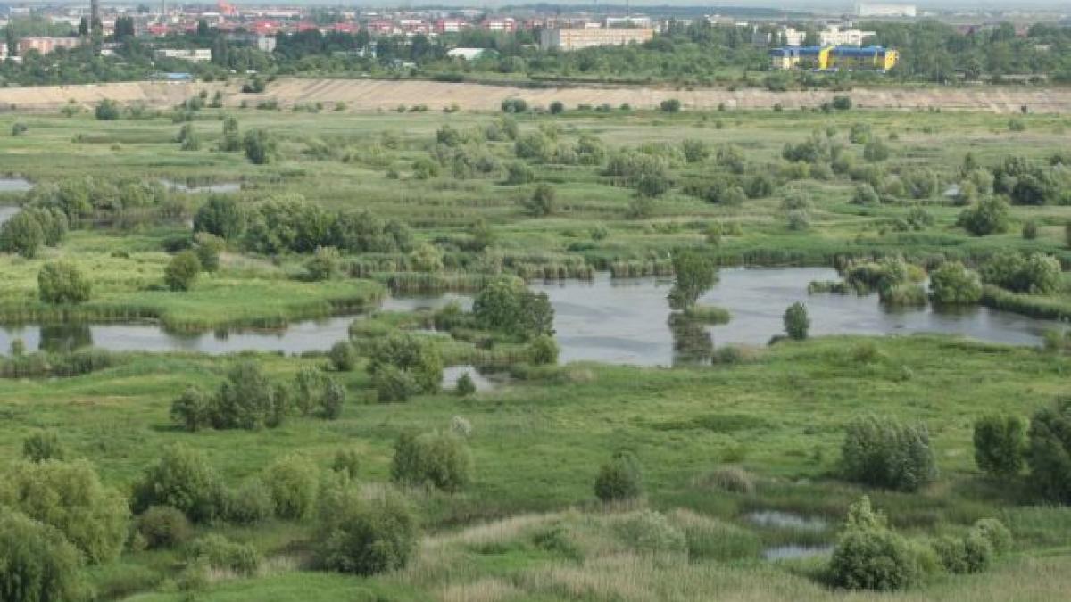 delta_vacaresti_55480800