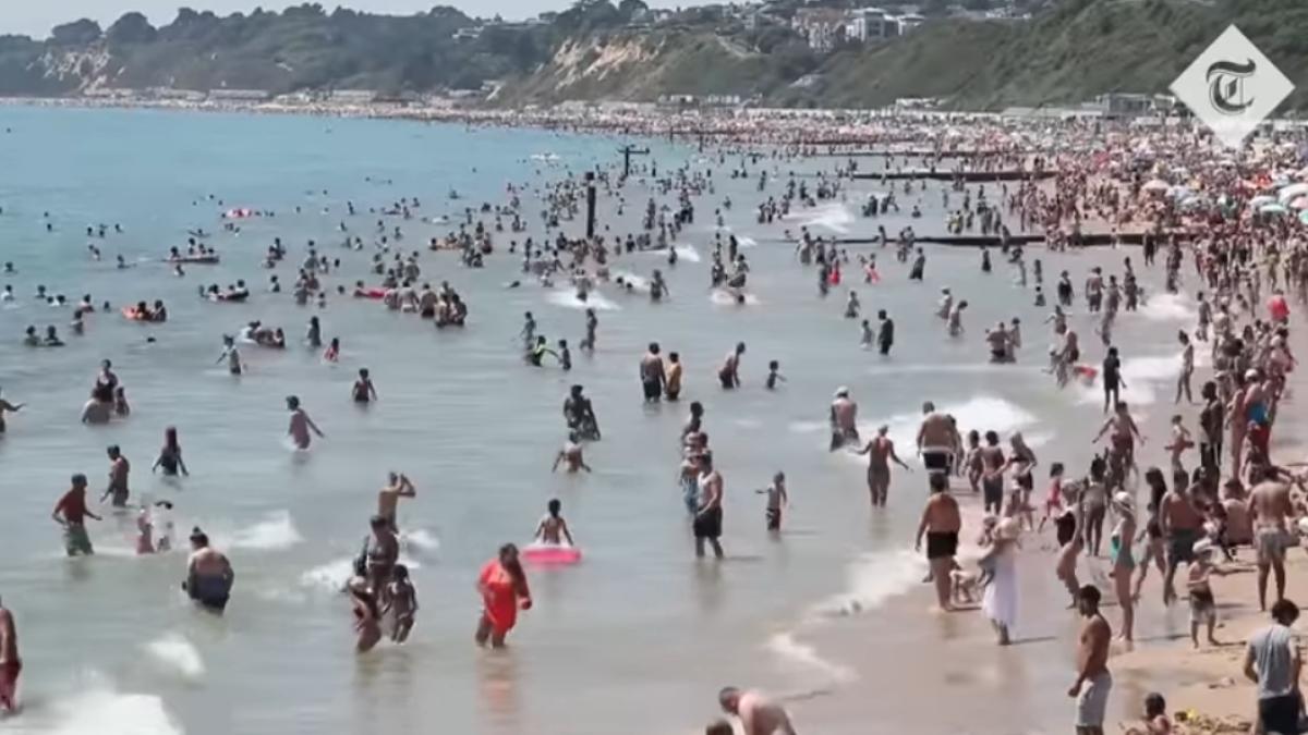 screenshot-2020-06-26-at-10-46-29_39037900