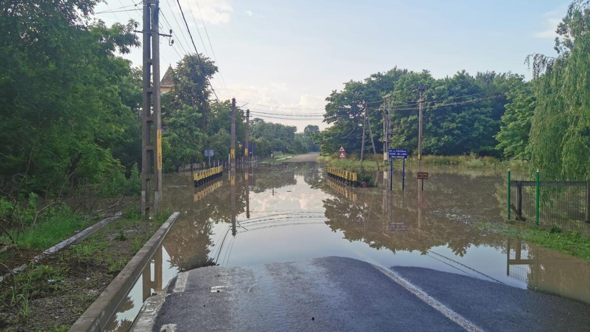 whatsapp-image-2020-06-26-at-06-56-12_36175000