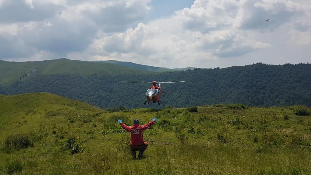 106264734_3291195050910735_8763480245516143526_n_65501900